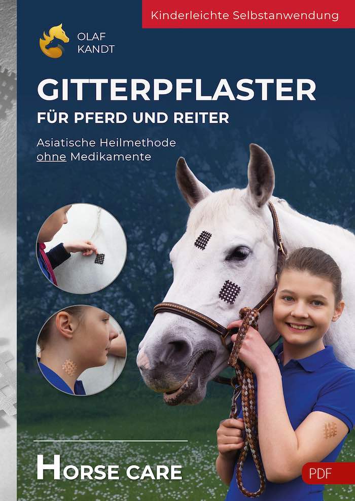 PDF: Gitterpflaster für Pferd und Reiter