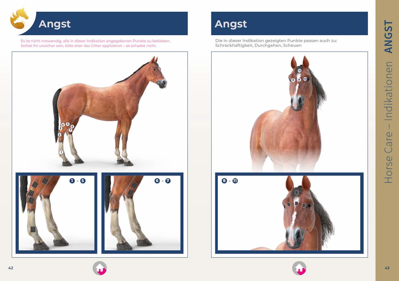 PDF: Gitterpflaster für Pferd und Reiter