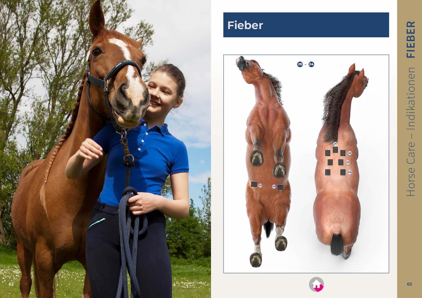 PDF: Gitterpflaster für Pferd und Reiter