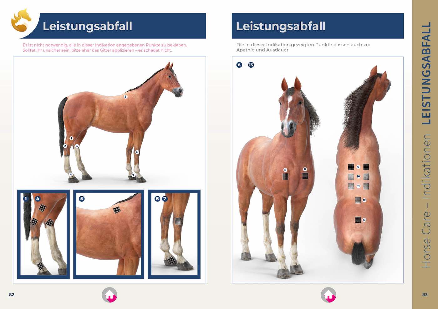 PDF: Gitterpflaster für Pferd und Reiter