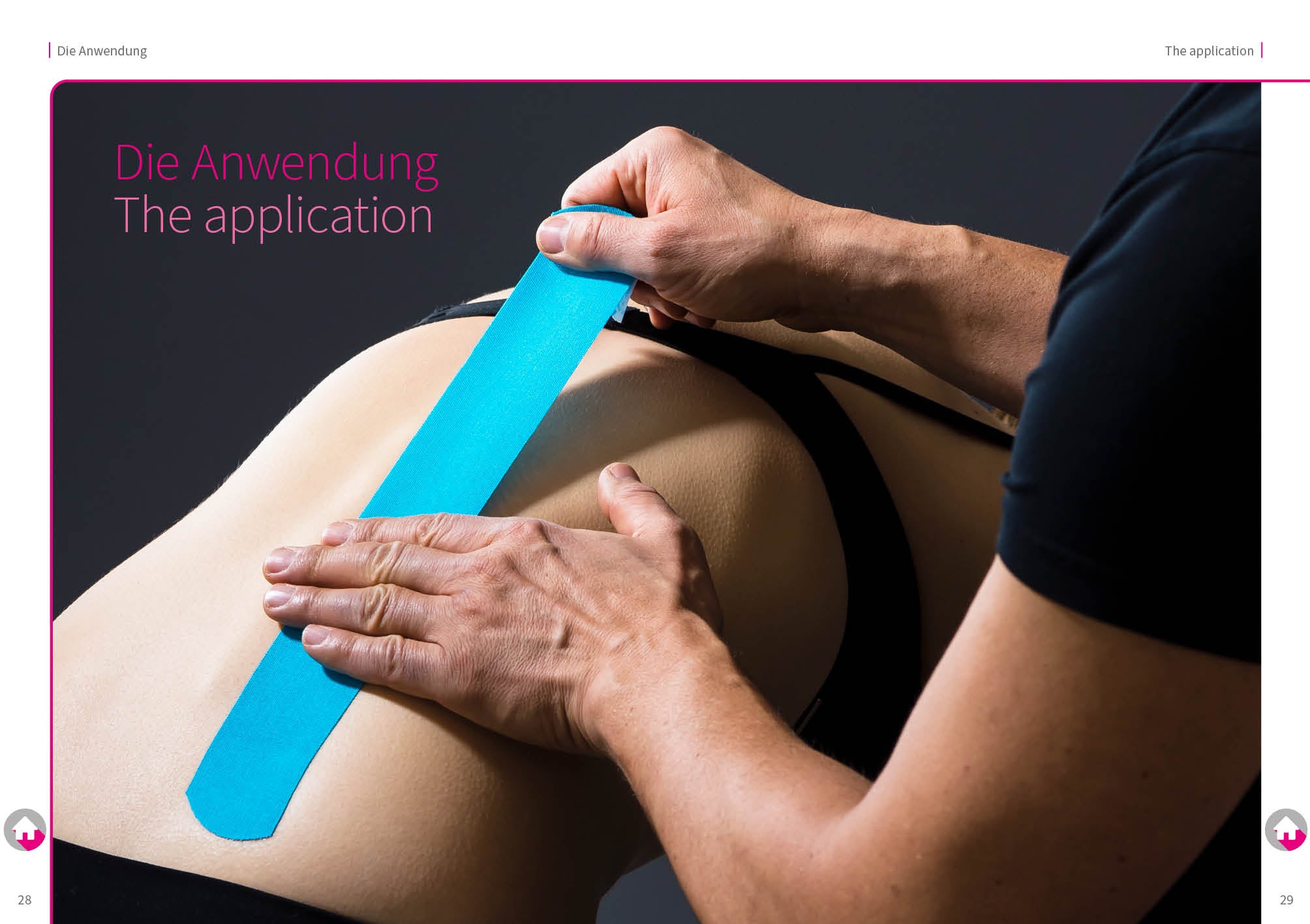 Band 01 PDF: Basiswissen