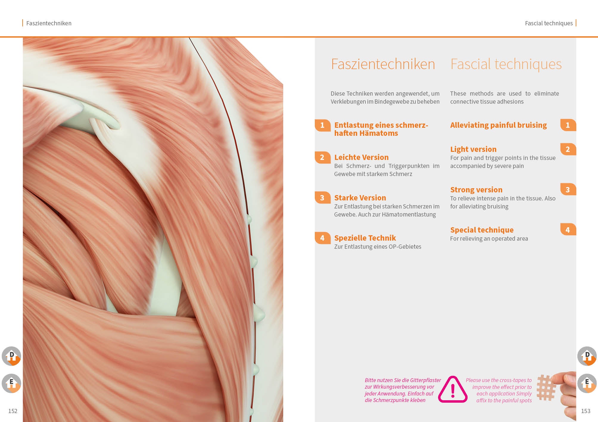 Band 04 PDF: Neural-, Lymph-, Faszien- und Gewebetechniken