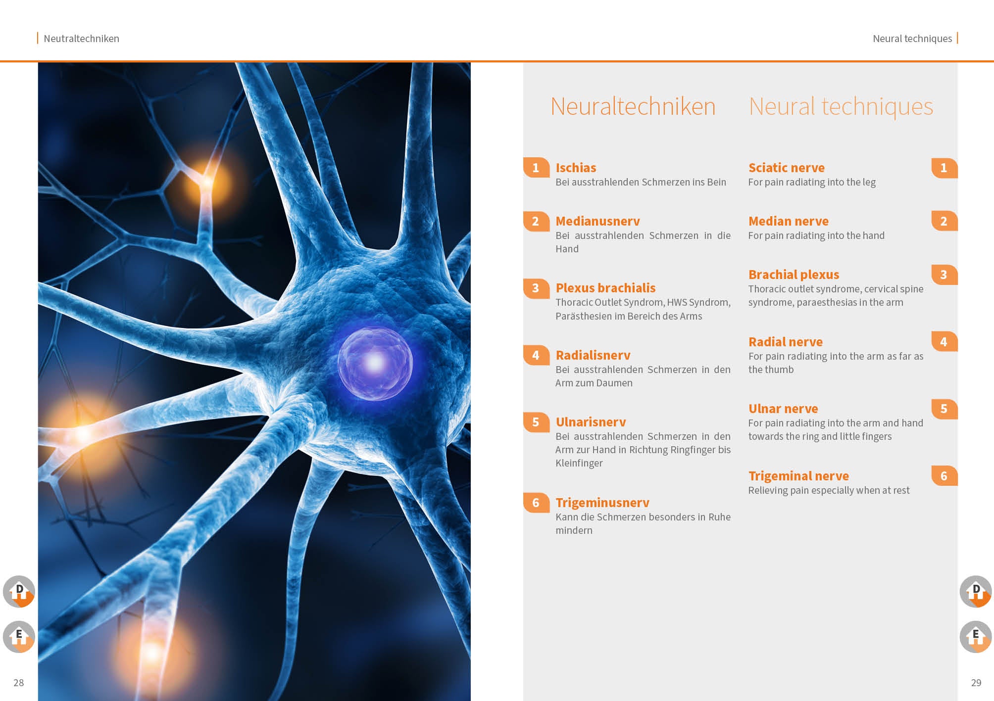 Band 04 PDF: Neural-, Lymph-, Faszien- und Gewebetechniken